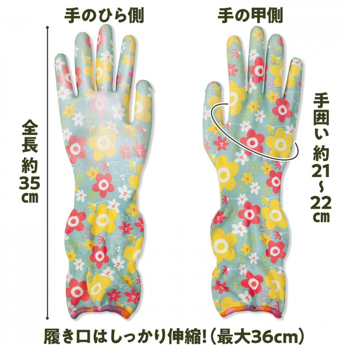 サイズ