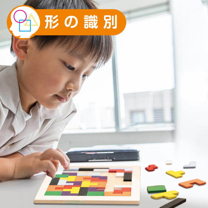 美品　sassi 　パズル　人体 　知育 楽天市場】Shinse 木製パズル 4種類シリーズ 型はめパズル 形