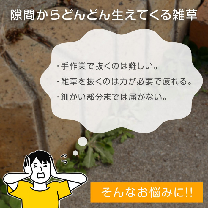 隙間からどんどん生えてくる雑草