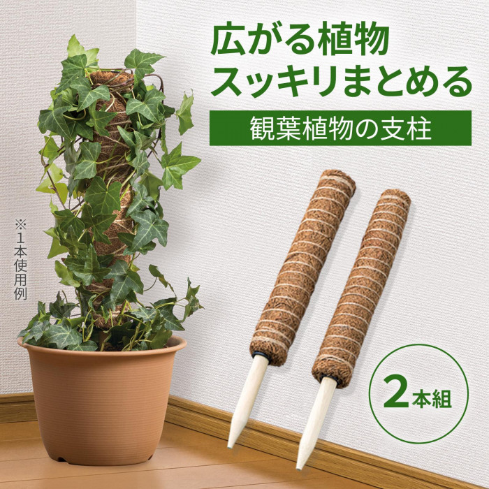 広がる植物スッキリまとめる