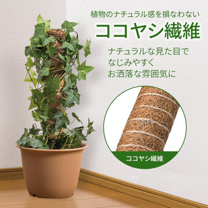 ココヤシ繊維で観葉植物に馴染みやすい