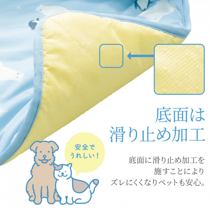 底面は滑り止め加工でズレにくく安心