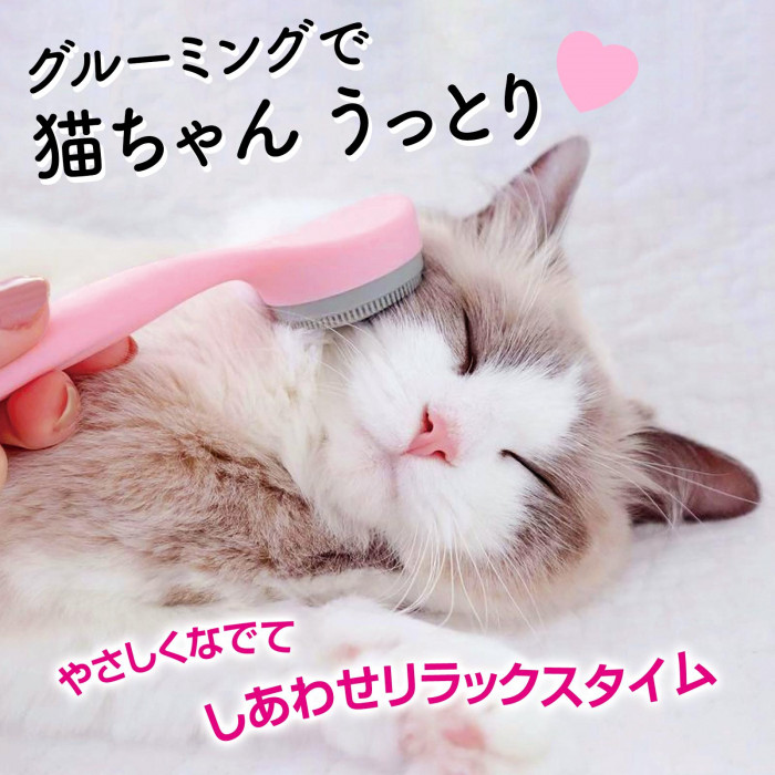 猫ちゃんうっとりで幸せリラックスタイム