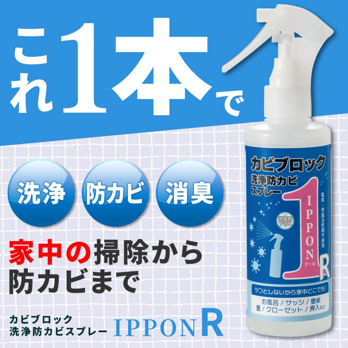 これ一本で家中の掃除から防カビまでできる