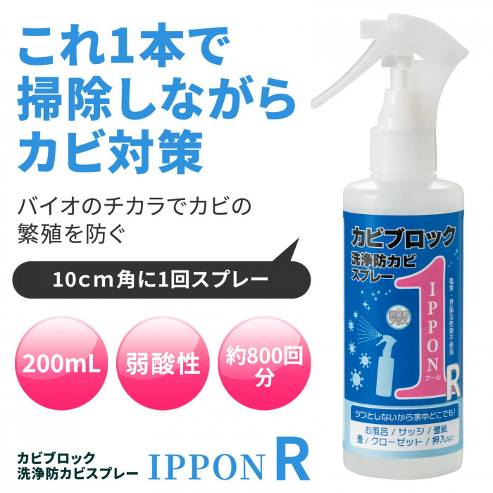 これ一本で掃除しながらカビ対策