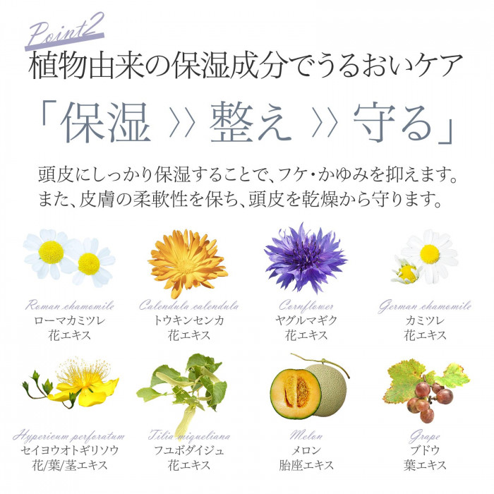 植物由来の保湿成分配合で頭皮に潤いを与え、皮膚を整え乾燥から守る