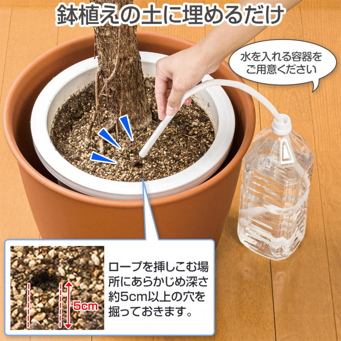 鉢植えの土に埋めるだけ