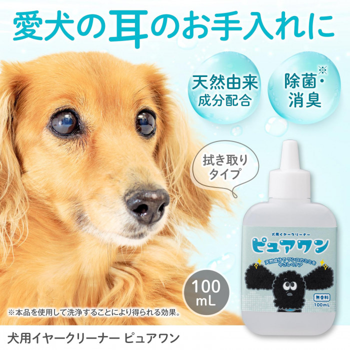 愛犬の耳のお手入れに