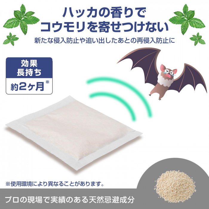 ハッカの香りでコウモリを寄せつけない