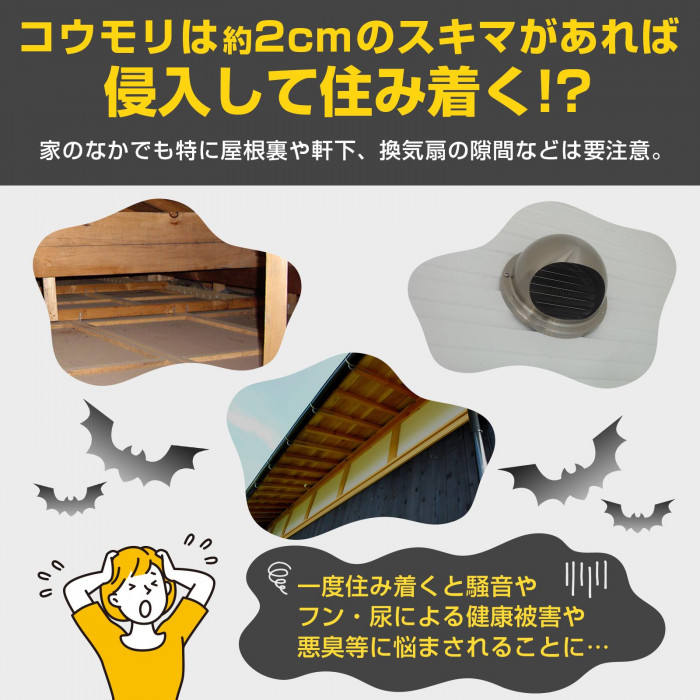 コウモリは約2cmのスキマがあれば侵入して住み着く?