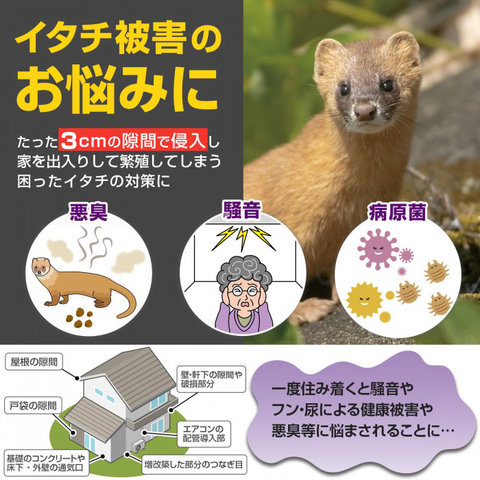 イタチ被害のお悩みに