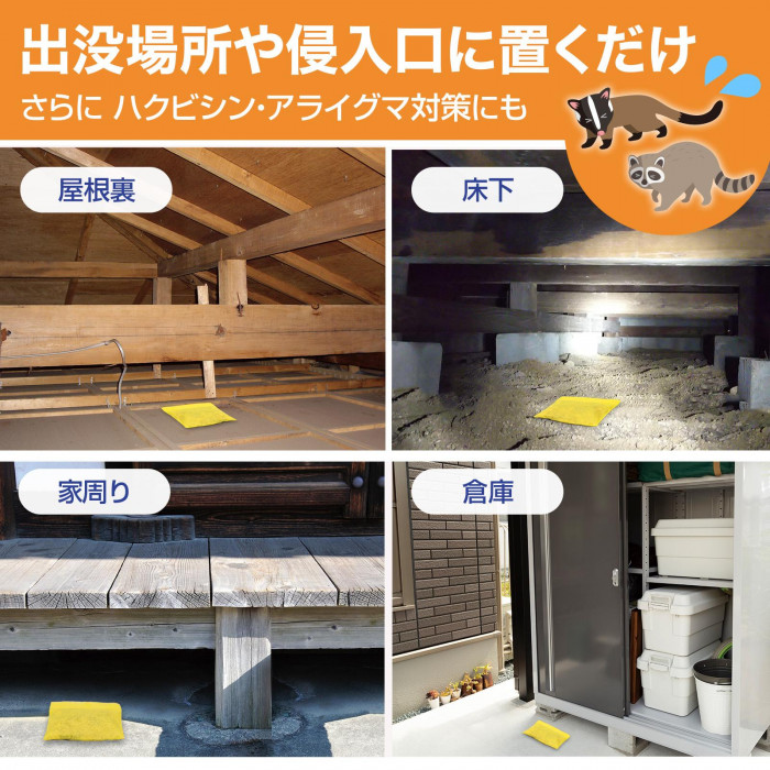 出没場所や侵入口に置くだけ　ハクビシンやアライグマにも