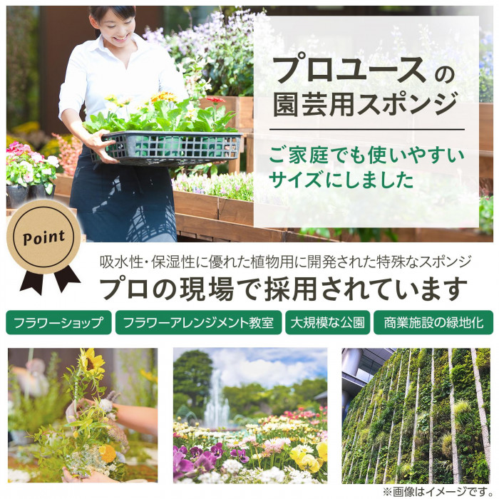 プロユースの園芸用スポンジ