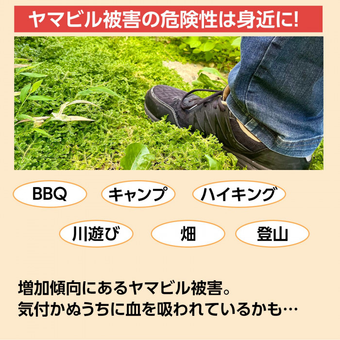 ヤマビルはこんなところにも