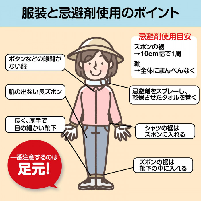 服装とポイント