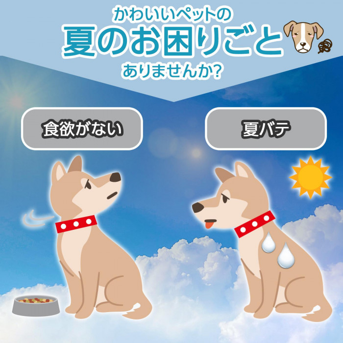 かわいいペットのお困りごとありませんか?