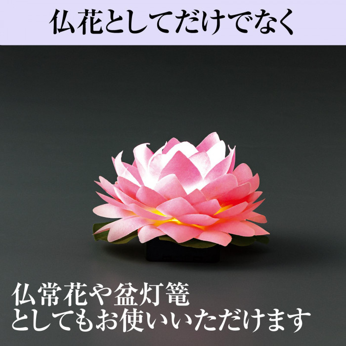 仏花としてだけでなく