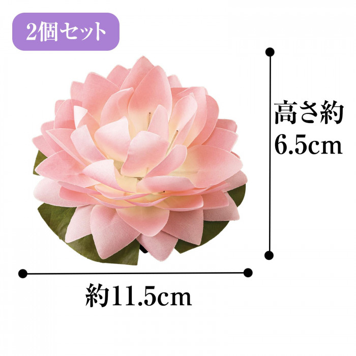 商品サイズ