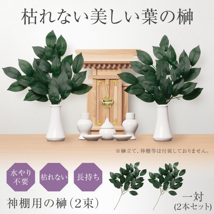 枯れない美しい葉の榊