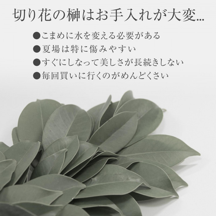 切り花の榊はお手入れが大変