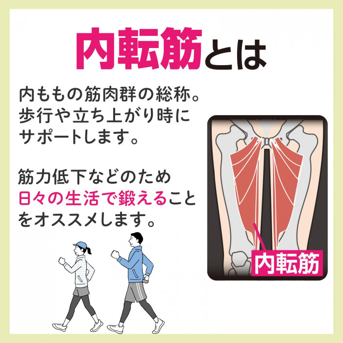 強さ調整できる内転筋トレーナー 筋肉 筋力 トレーニング 家 ながら 筋