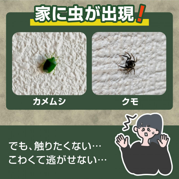 家に虫が出現!