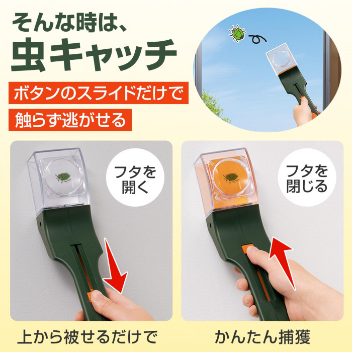 そんな時は虫キャッチ、上から被せてかんたん捕獲