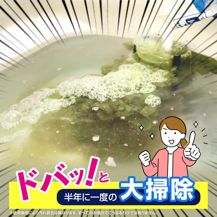 半年に一度の大掃除