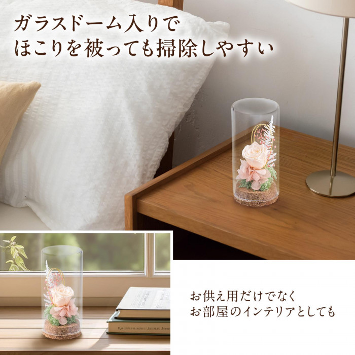 ガラスドーム入りでほこりを被っても掃除しやすい
