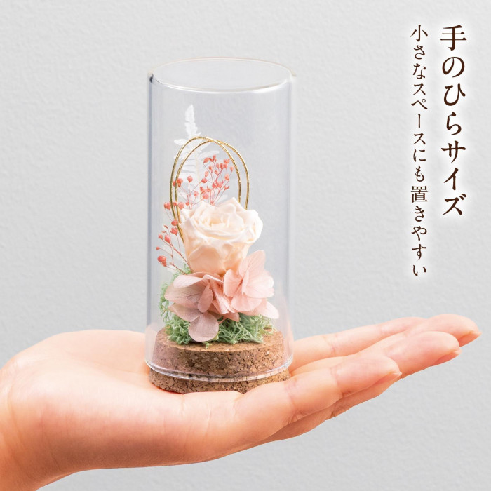手のひらサイズ 小さなスペースにも置きやすい