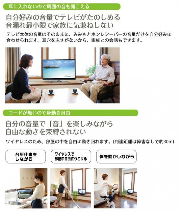 エムケー電子 みみもとホンTV ES-600GT グレー : CARSBAY - 通販