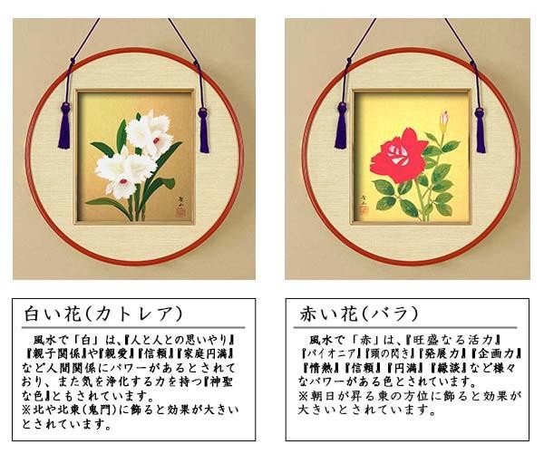 お得特価 葛谷聖山 Diy Com 通販 Paypayモール 色紙丸額 白い花 カトレア 格安高評価 Www Proholzfenster De