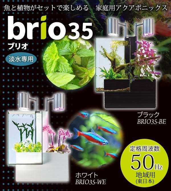 魚と植物がセットで楽しめる 家庭用アクアポニックス brio35(ブリオ