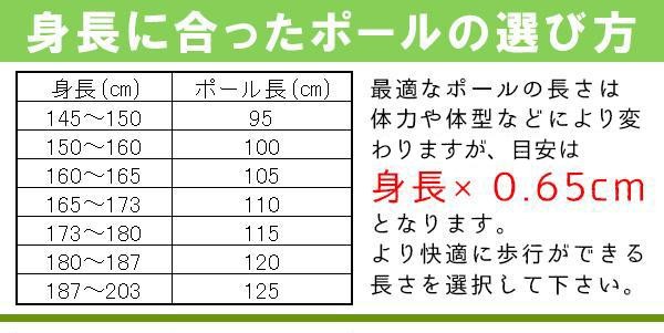 即納特典付き Naito ナイト工芸 日本製 カーボン 2段伸縮ノルディックウォーキングポール インターナショナル 2本組 Nwp 上質で快適 Www Muslimaidusa Org