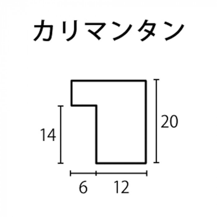 ※断面図