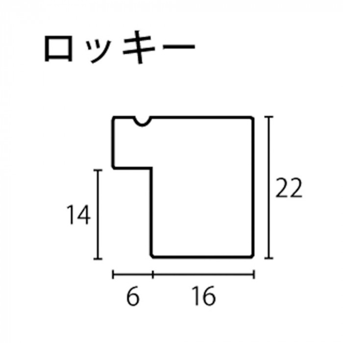 ※断面図