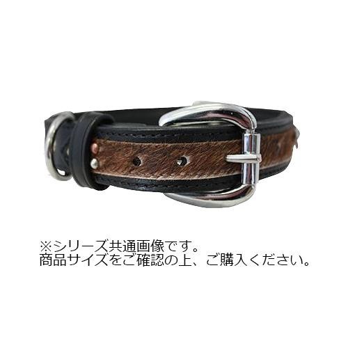 Angel Sedona Collar 春の新作 犬用首輪 Black