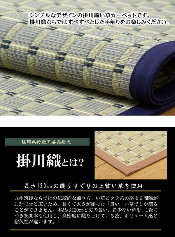 掛川織 い草ラグカーペット 『豊後』 ブルー 江戸間2畳(約174×174cm