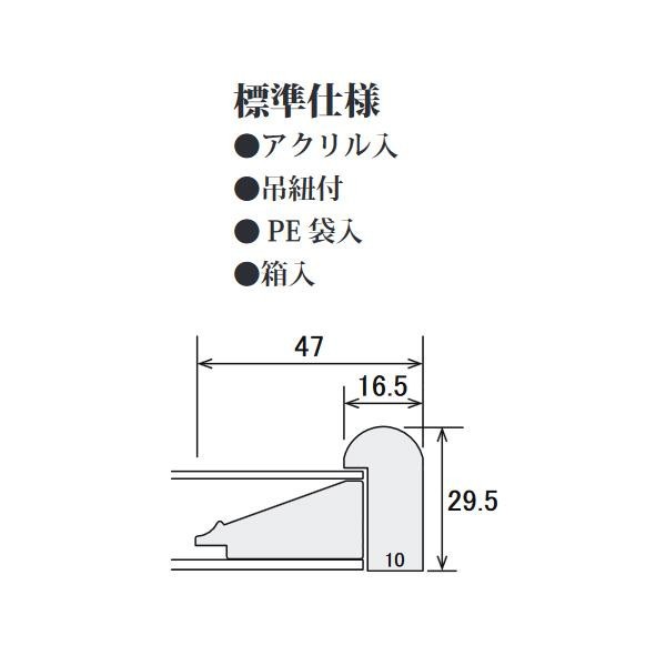 ※断面図(単位/mm)