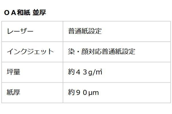 和紙のイシカワ OA和紙並厚 白 A4判 100枚入 10袋 WP-584600-10P（同梱