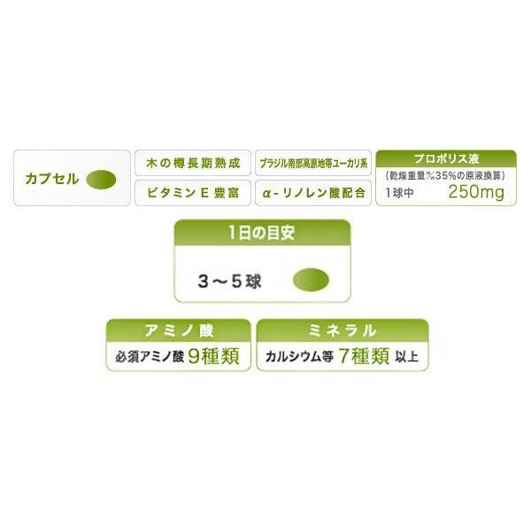 蜂の恵み 濃縮熟成プロポリスソフトカプセル 120粒 :1430128:ハピネスライフ - 通販 - Yahoo!ショッピング