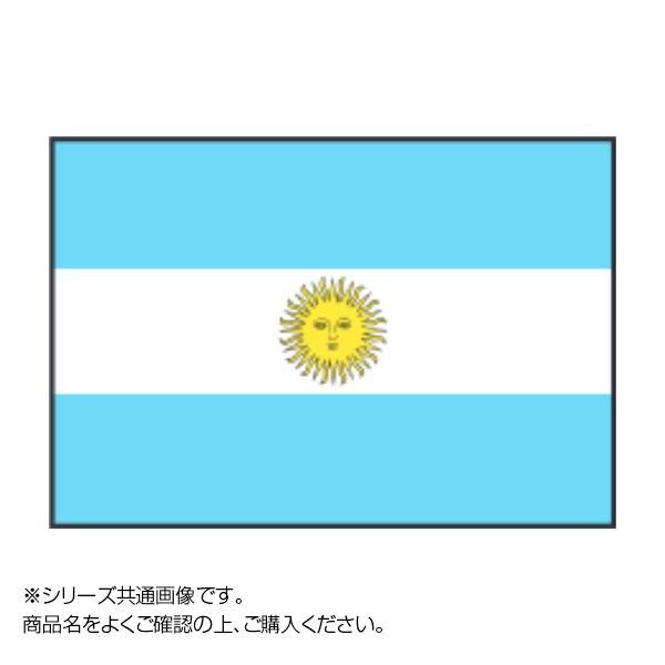 [まとめ得]　世界の国旗　万国旗　70×105cm　x　アルゼンチン　2個セット