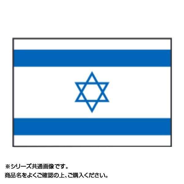 世界の国旗　万国旗　イスラエル　90×135cm(a-1529139)