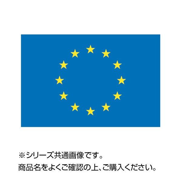 [まとめ得]　世界の国旗　万国旗　EU　70×105cm　x　2個セット