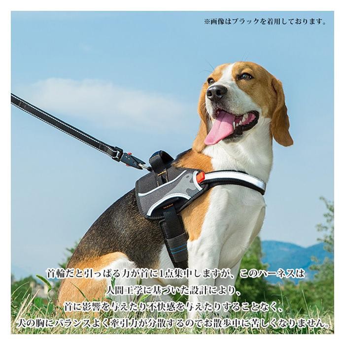 犬　ハーネス ファープラスト　ヘラクレス ファープラスト ヘラクレス 犬用ハーネス L ブラック 75468417