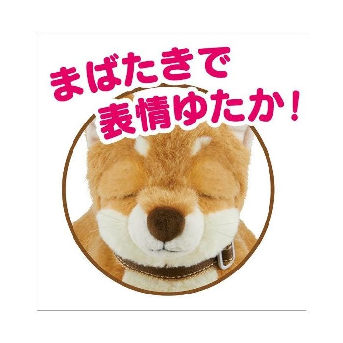 ーまたは しゃべる ぬいぐ おもちゃ 知育 ぬいぐるみ しゃべる犬 メーカー Www Blaskogabyggd Is