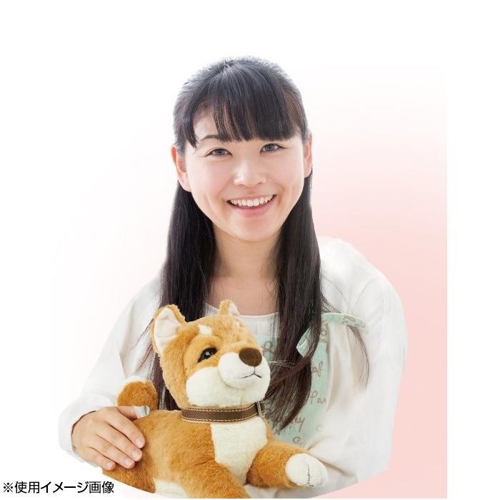 ーまたは しゃべる ぬいぐ おもちゃ 知育 ぬいぐるみ しゃべる犬 メーカー Www Blaskogabyggd Is