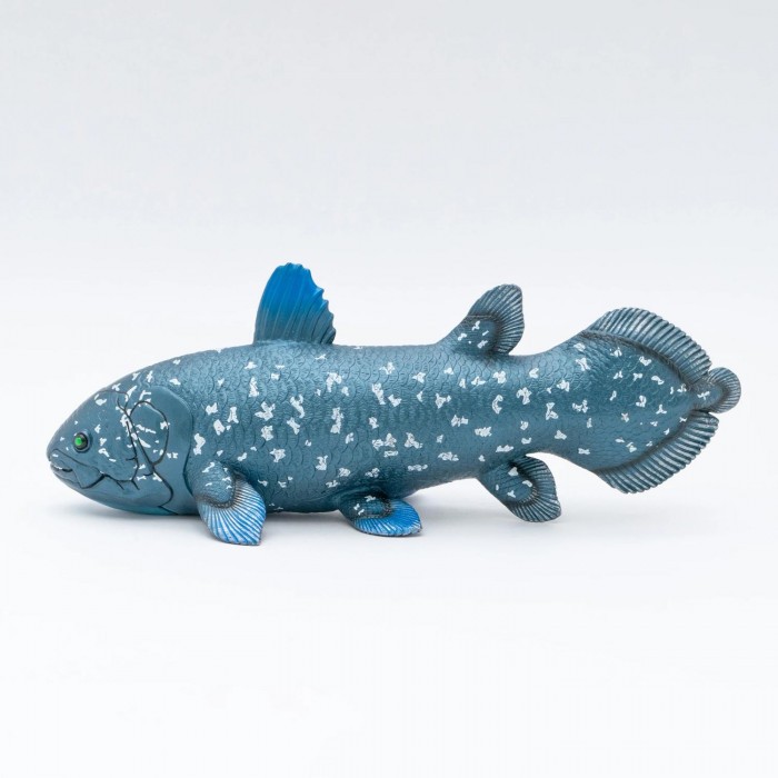 ハンドメイド　61cmシーラカンス フィギュア　レプリカ　化石魚　オブジェ　置物 ハンドメイド 61cmシーラカンス フィギュア レプリカ 化石魚