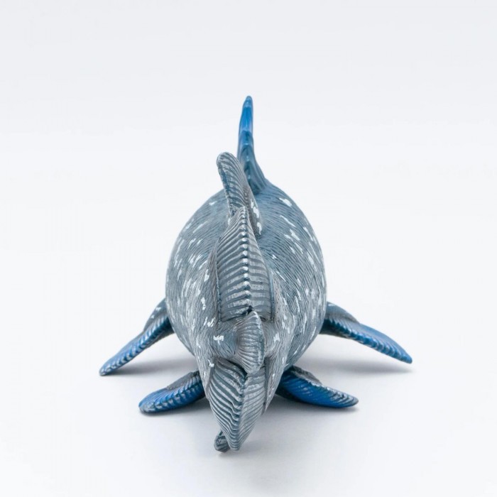 フィギュア 模型 古代生物 ディスプレイ コレクション 魚