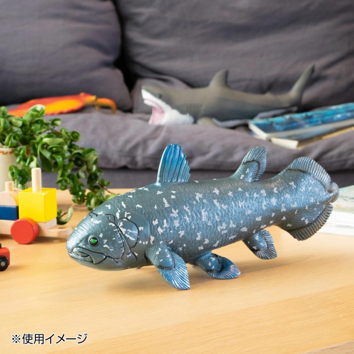 フィギュア 模型 古代生物 ディスプレイ コレクション 魚